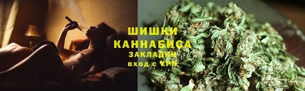 сатива Балахна