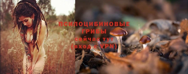 сатива Балахна