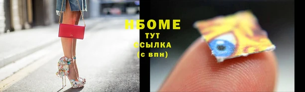 сатива Балахна