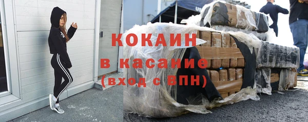 сатива Балахна
